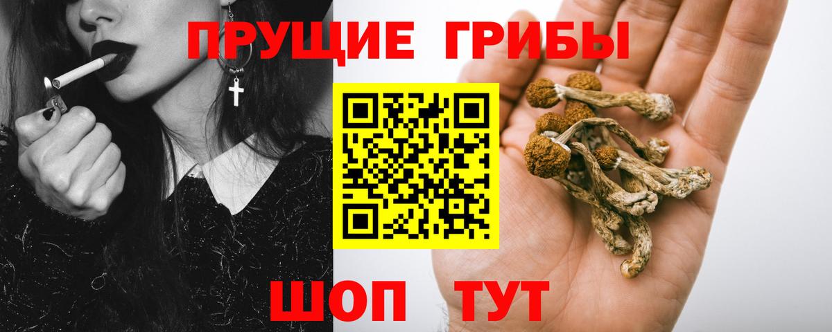 Псилоцибиновые грибы Psilocybe  Галлюциногенные грибы мицелий  где продают наркотики  Чехов  Вход с VPN 
